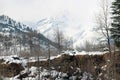 Mountain and tree of Manali Himachal Pradesh Town in India Royalty Free Stock Photo